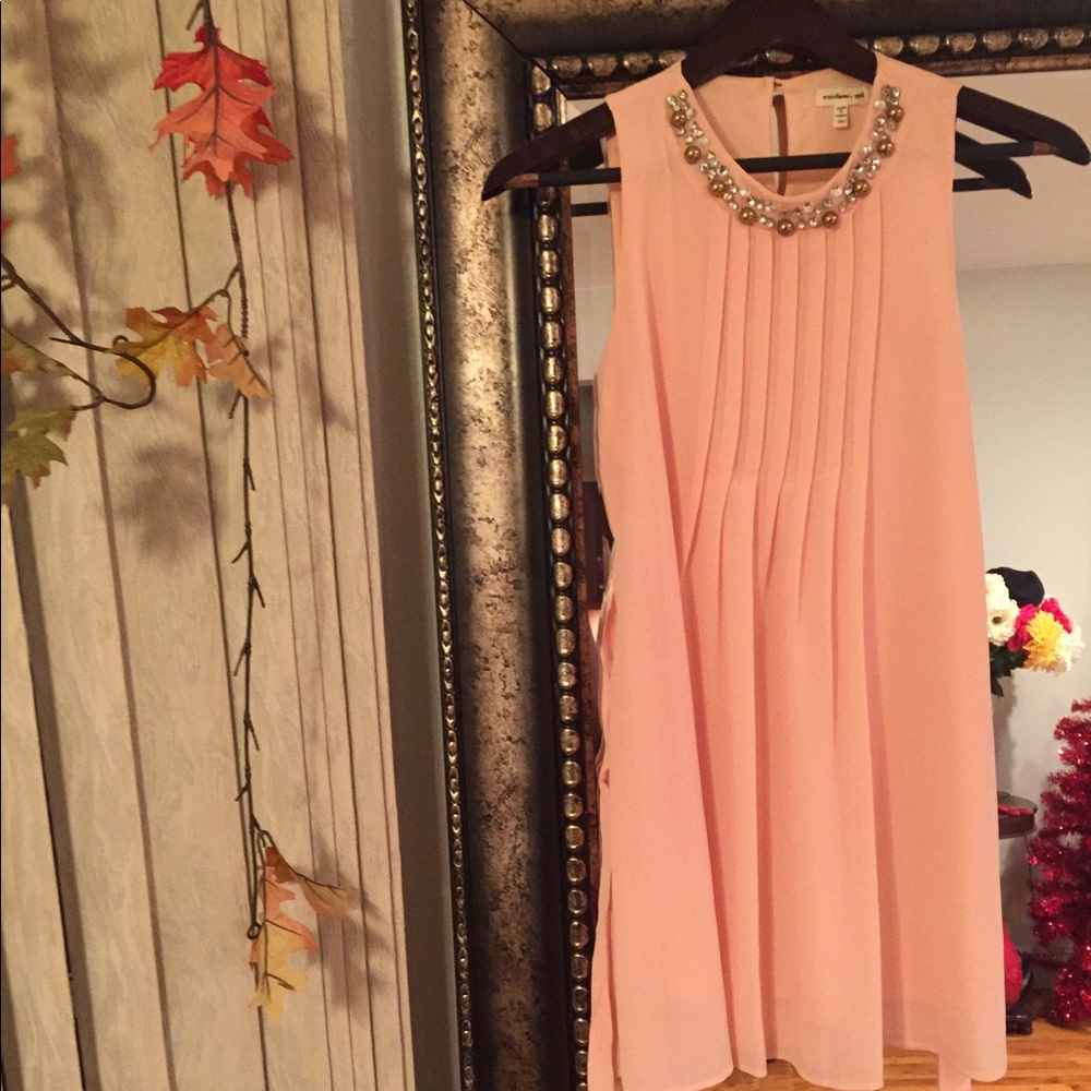 Elegant Pleated Blush Dress